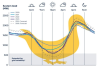 Dealing with the Duck Curve in Western Australia - Modern Power Systems PDF thumbnail preview